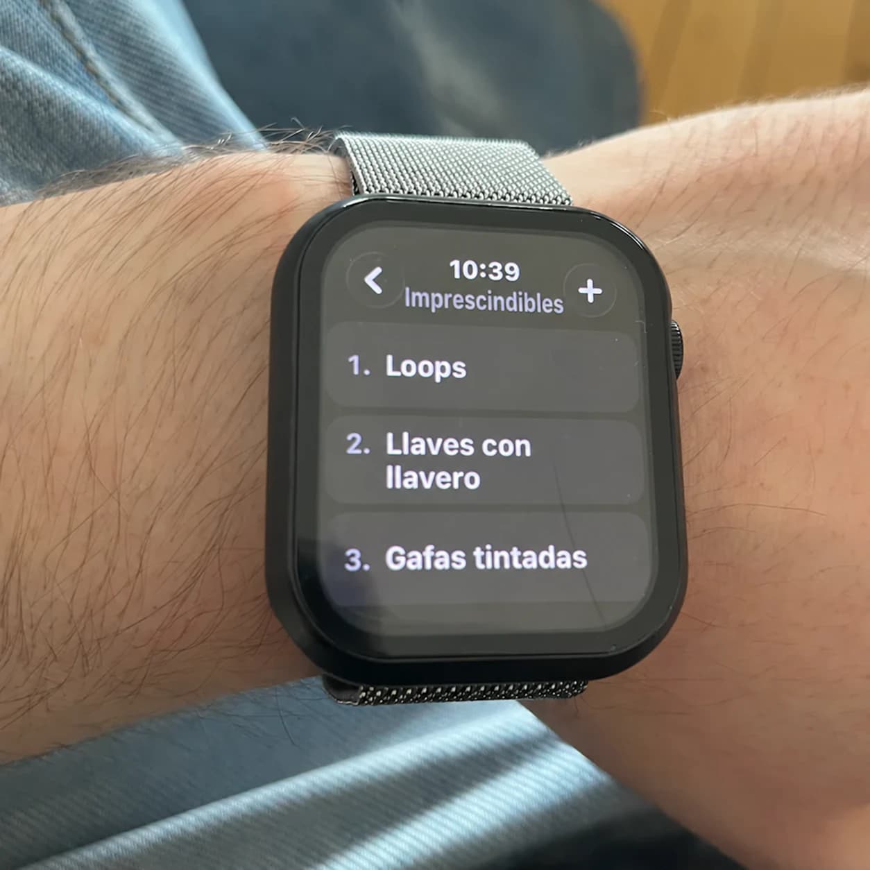 Mi lista de cosas esenciales en meinsystem en mi Apple Watch