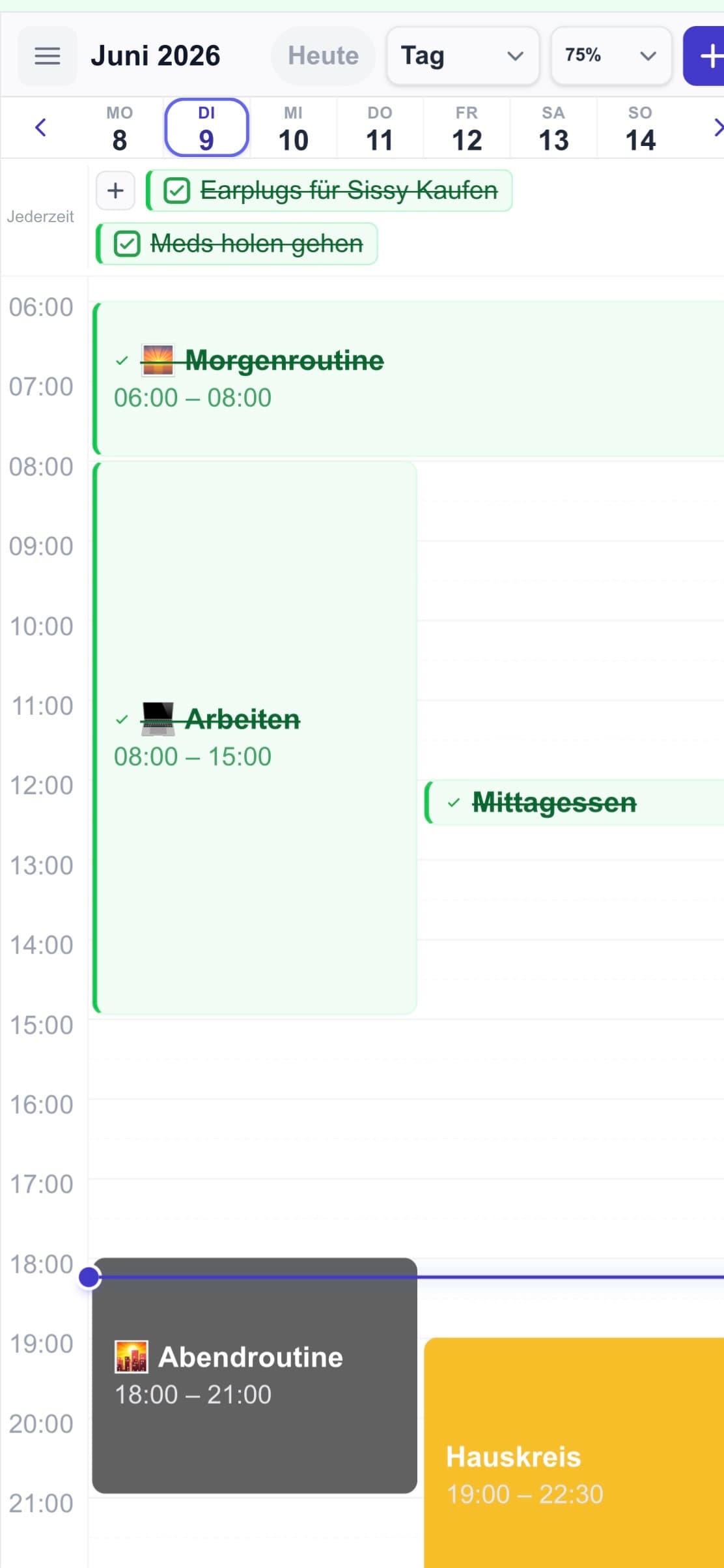 Die Tagesansicht von meinsystem.app mit fertig eingerichteten Routinen, Terminen und Todos