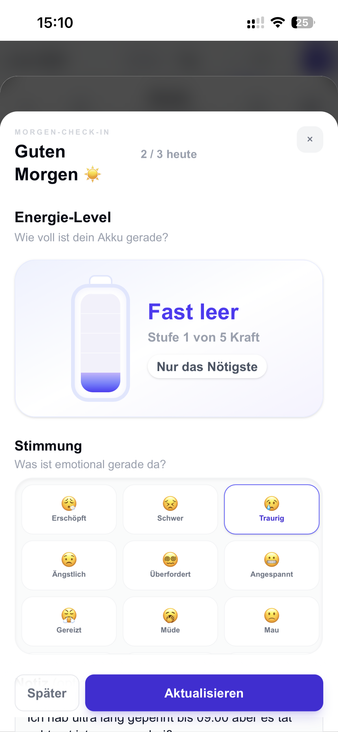 Daily Check-in und Tagesplanung in meinsystem.app